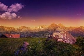 糖心渣男在线观看：甜蜜爱情与渣男纠葛的精彩剧情解析