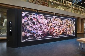 糖心Vlog入口在线：畅游美食与生活的精彩世界