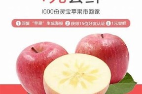 国产糖心苹果礼盒价格揭秘，超值选择送礼自用两相宜！