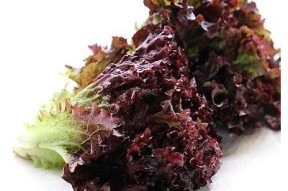 免费观看糖心视频官网，畅享精彩影视内容！