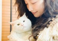 糖心影院：在线观看最新热门影视资源，畅享视听盛宴！