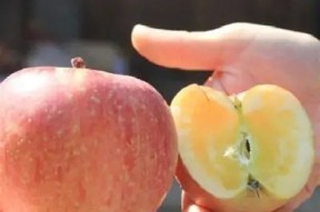 国产糖心苹果的口感评测：究竟好吃还是不好吃？