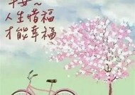 日光糖心：甜蜜青春的温馨小说在线阅读