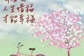 日光糖心：甜蜜青春的温馨小说在线阅读