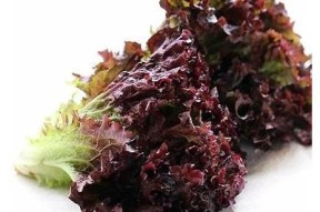 糖心在线观看地址最新分享，在线观看方法详解！