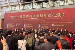 糖心娜娜律师：精彩剧情在线播放，尽享法律争斗与情感碰撞