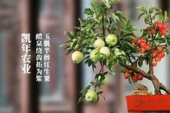 糖心TV在线免费观看：畅享精彩影视内容