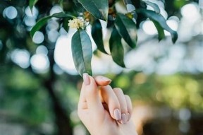 绝配酥心糖：甜蜜爱情与成长的国产剧全解析