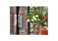 糖心剧国产剧剧情全解析：从经典到新作一网打尽