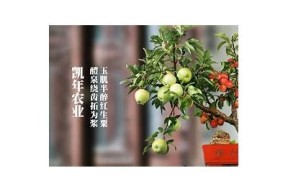 糖心女神舒怡在线免费观看：畅享甜蜜时光