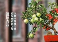 糖心甜豆高清在线观看，畅享甜蜜青春故事互动体验