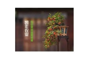 糖心短视频：轻松捕捉生活中的甜蜜瞬间